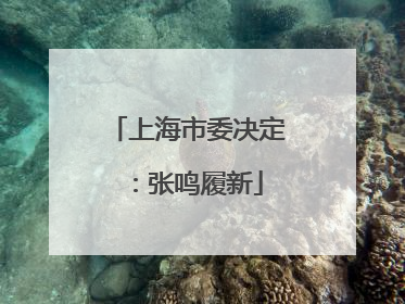 上海市委决定：张鸣履新