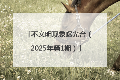不文明现象曝光台（2025年第1期）