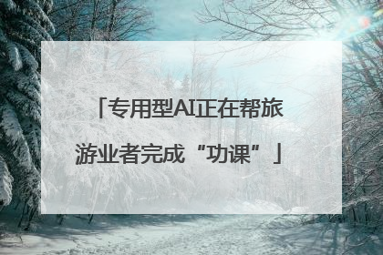 专用型AI正在帮旅游业者完成“功课”