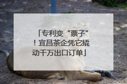 专利变“票子”！宜昌茶企凭它撬动千万出口订单