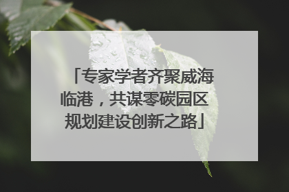 专家学者齐聚威海临港，共谋零碳园区规划建设创新之路