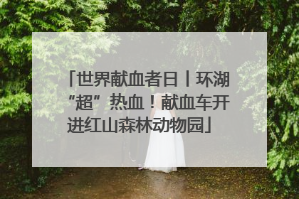 世界献血者日丨环湖“超”热血！献血车开进红山森林动物园