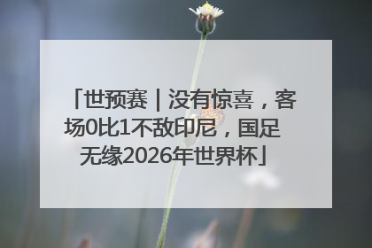 世预赛｜没有惊喜，客场0比1不敌印尼，国足无缘2026年世界杯