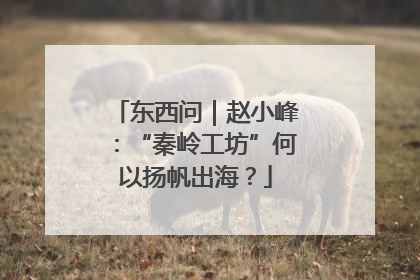 东西问｜赵小峰：“秦岭工坊”何以扬帆出海？
