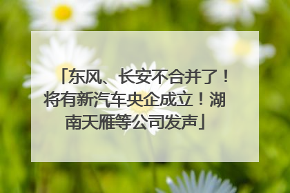 东风、长安不合并了！将有新汽车央企成立！湖南天雁等公司发声