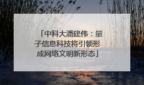 中科大潘建伟：量子信息科技将引领形成网络文明新形态