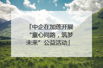 中企在加蓬开展“童心同路,筑梦未来”公益活动