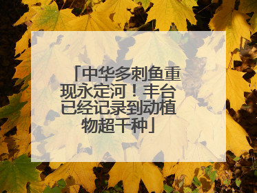 中华多刺鱼重现永定河！丰台已经记录到动植物超千种