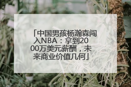 中国男孩杨瀚森闯入NBA：拿到2000万美元薪酬，未来商业价值几何