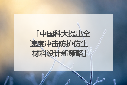 中国科大提出全速度冲击防护仿生材料设计新策略