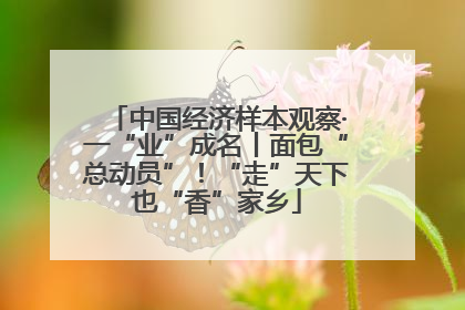 中国经济样本观察·一“业”成名丨面包“总动员”！“走”天下也“香”家乡