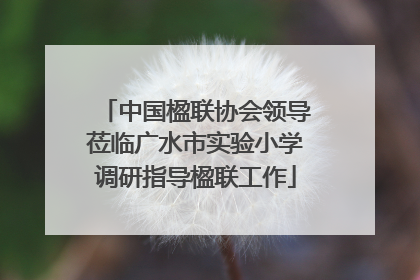 中国楹联协会领导莅临广水市实验小学调研指导楹联工作
