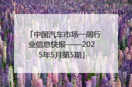 中国汽车市场一周行业信息快报——2025年5月第5期