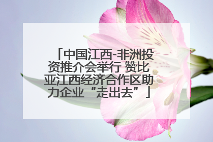 中国江西-非洲投资推介会举行 赞比亚江西经济合作区助力企业“走出去”