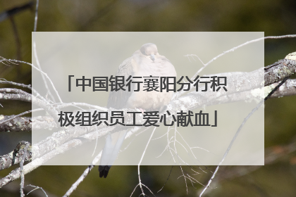 中国银行襄阳分行积极组织员工爱心献血