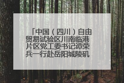中国（四川）自由贸易试验区川南临港片区党工委书记谭荣兵一行赴岳阳城陵矶综保区考察