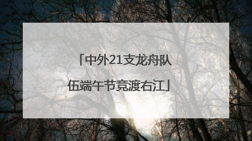 中外21支龙舟队伍端午节竞渡右江