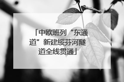 中欧班列“东通道”新建绥芬河隧道全线贯通