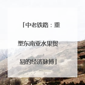 中老铁路：重塑东南亚水果贸易的经济脉搏