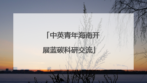中英青年海南开展蓝碳科研交流