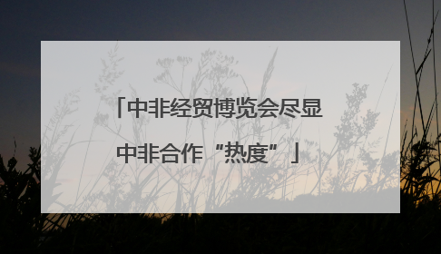 中非经贸博览会尽显中非合作“热度”