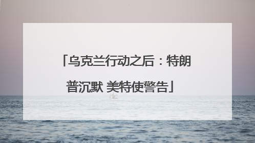 乌克兰行动之后：特朗普沉默 美特使警告
