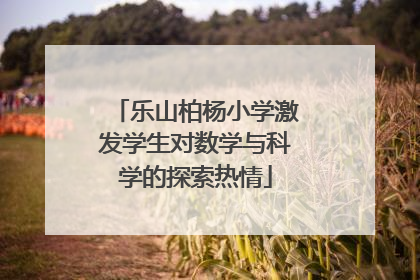 乐山柏杨小学激发学生对数学与科学的探索热情