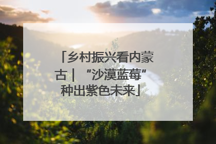 乡村振兴看内蒙古｜“沙漠蓝莓”种出紫色未来