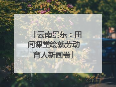 云南景东：田间课堂绘就劳动育人新画卷