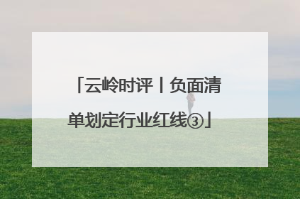 云岭时评丨负面清单划定行业红线③