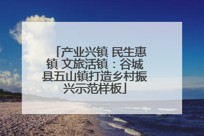 产业兴镇 民生惠镇 文旅活镇：谷城县五山镇打造乡村振兴示范样板