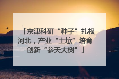 京津科研“种子”扎根河北，产业“土壤”培育创新“参天大树”