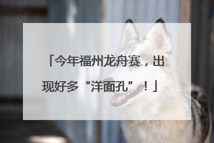 今年福州龙舟赛，出现好多“洋面孔”！