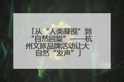 从“人类凝视”到“自然回望”——杭州文旅品牌活动让大自然“发声”