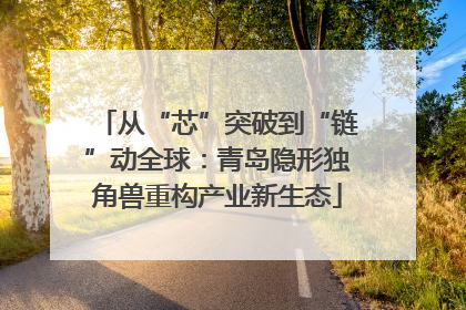 从“芯”突破到“链”动全球：青岛隐形独角兽重构产业新生态