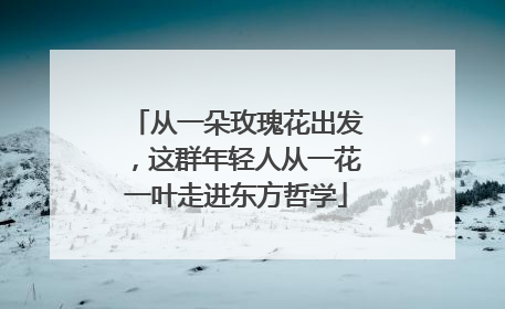 从一朵玫瑰花出发，这群年轻人从一花一叶走进东方哲学