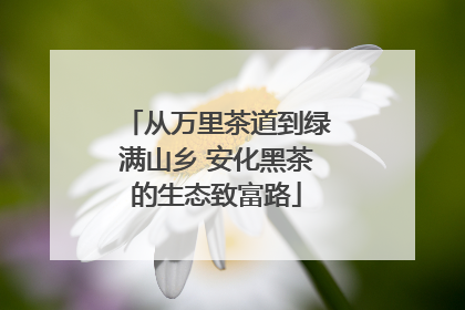 从万里茶道到绿满山乡 安化黑茶的生态致富路