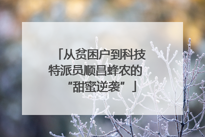 从贫困户到科技特派员顺昌蜂农的“甜蜜逆袭”