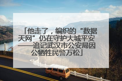 他走了，编织的“数据天网”仍在守护大城平安——追记武汉市公安局因公牺牲民警万松