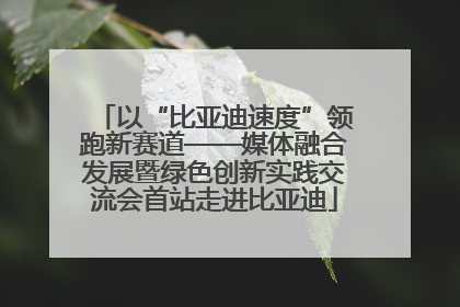 以“比亚迪速度”领跑新赛道——媒体融合发展暨绿色创新实践交流会首站走进比亚迪