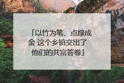 以竹为笔、点绿成金 这个乡镇交出了他们的共富答卷