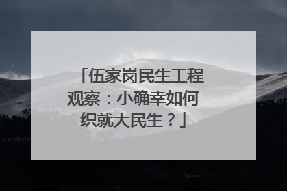 伍家岗民生工程观察：小确幸如何织就大民生？