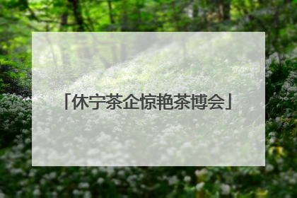 休宁茶企惊艳茶博会