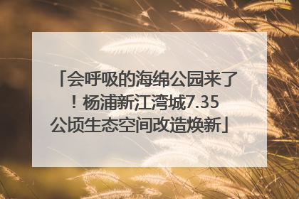 会呼吸的海绵公园来了！杨浦新江湾城7.35公顷生态空间改造焕新