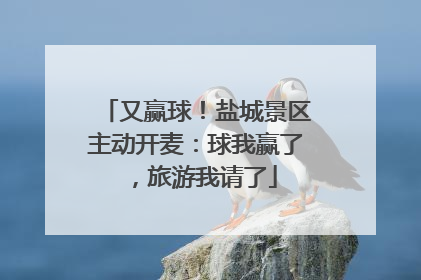 又赢球！盐城景区主动开麦：球我赢了，旅游我请了