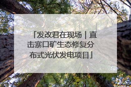 发改君在现场｜直击寨口矿生态修复分布式光伏发电项目