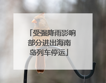 受强降雨影响 部分进出海南岛列车停运