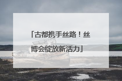 古都携手丝路！丝博会绽放新活力