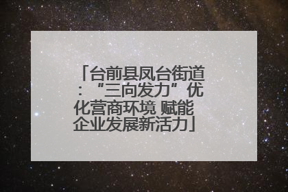 台前县凤台街道：“三向发力”优化营商环境 赋能企业发展新活力