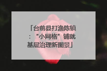 台前县打渔陈镇：“小网格”铺就基层治理新图景